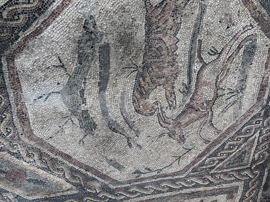 Villa Romana ed Antiquarium di Desenzano del Garda-代森扎诺-德尔加达必去景点