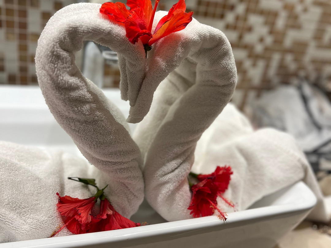 Vila Galé Cayo Paredón主图