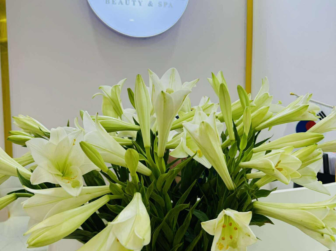 Woo Korea Beauty & Spa-Dong Da必去景点