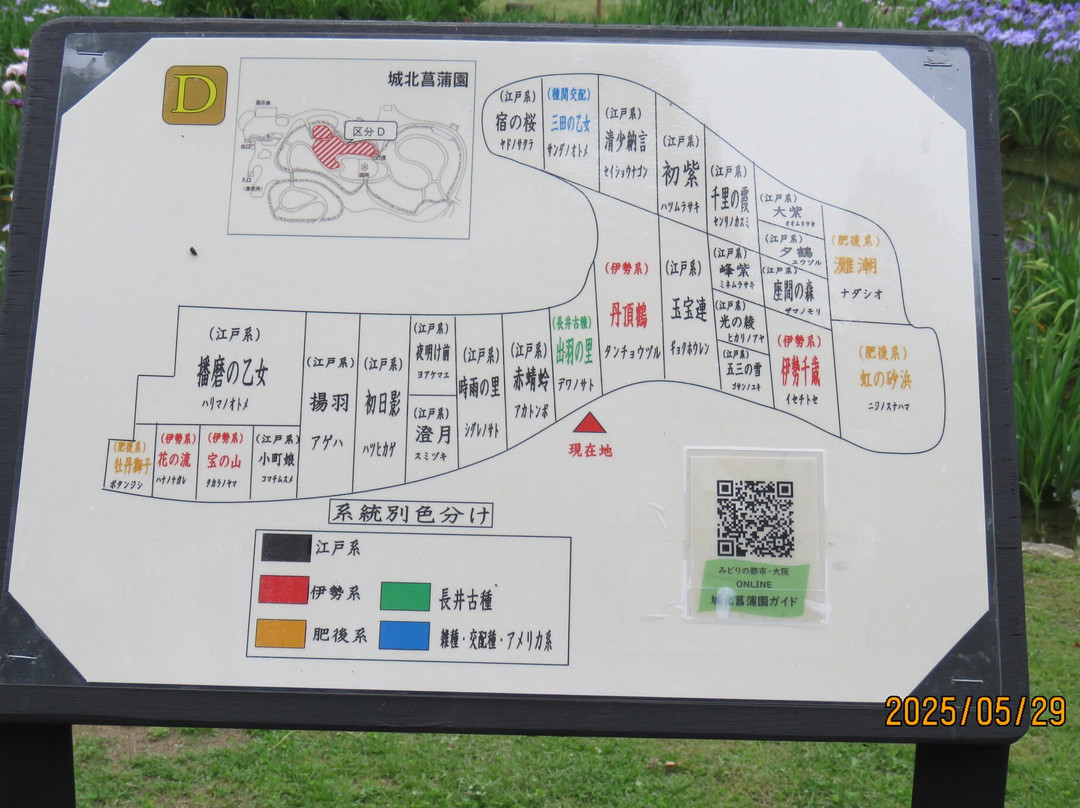 城北公园菖蒲园-大阪市必去景点