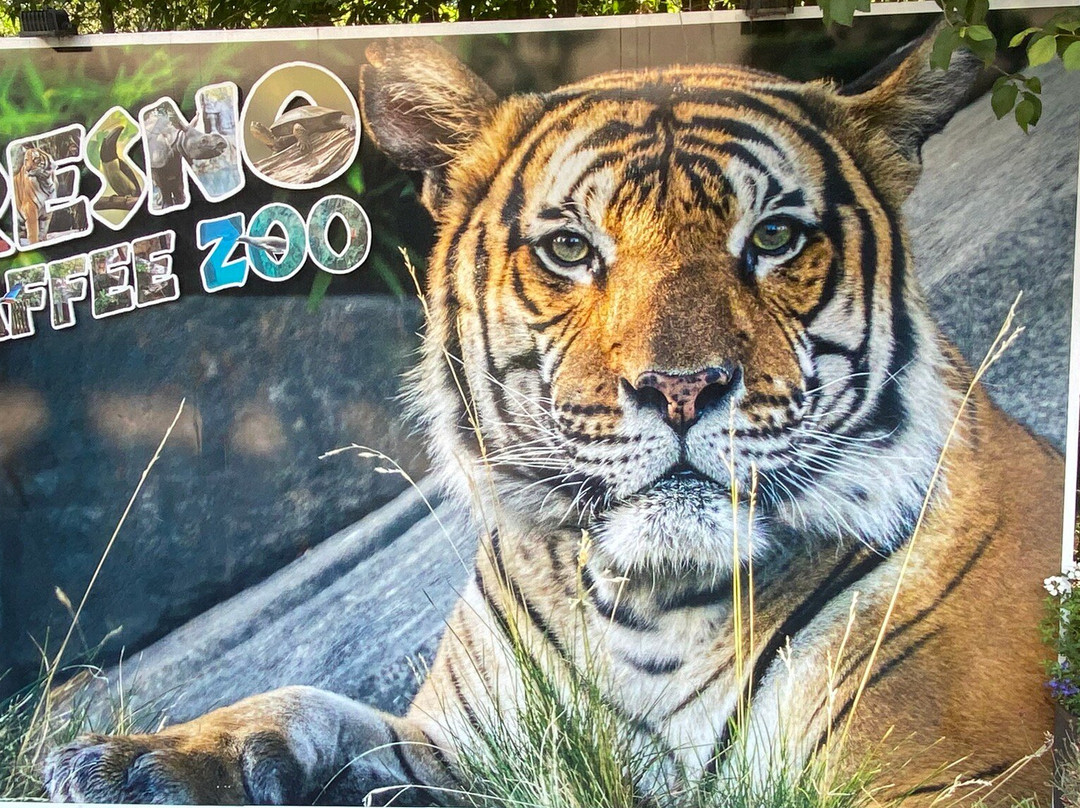 弗雷斯诺查菲动物公园-弗雷斯诺必去景点