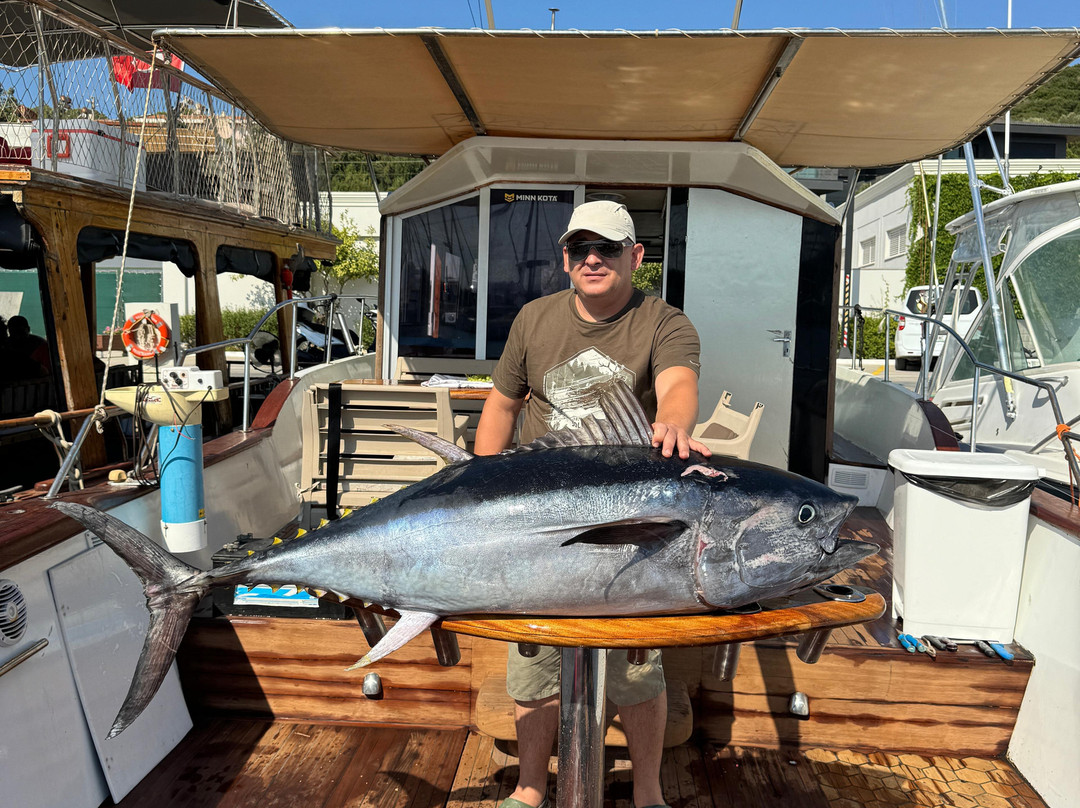 Tuna Fishing Turkey景点图片