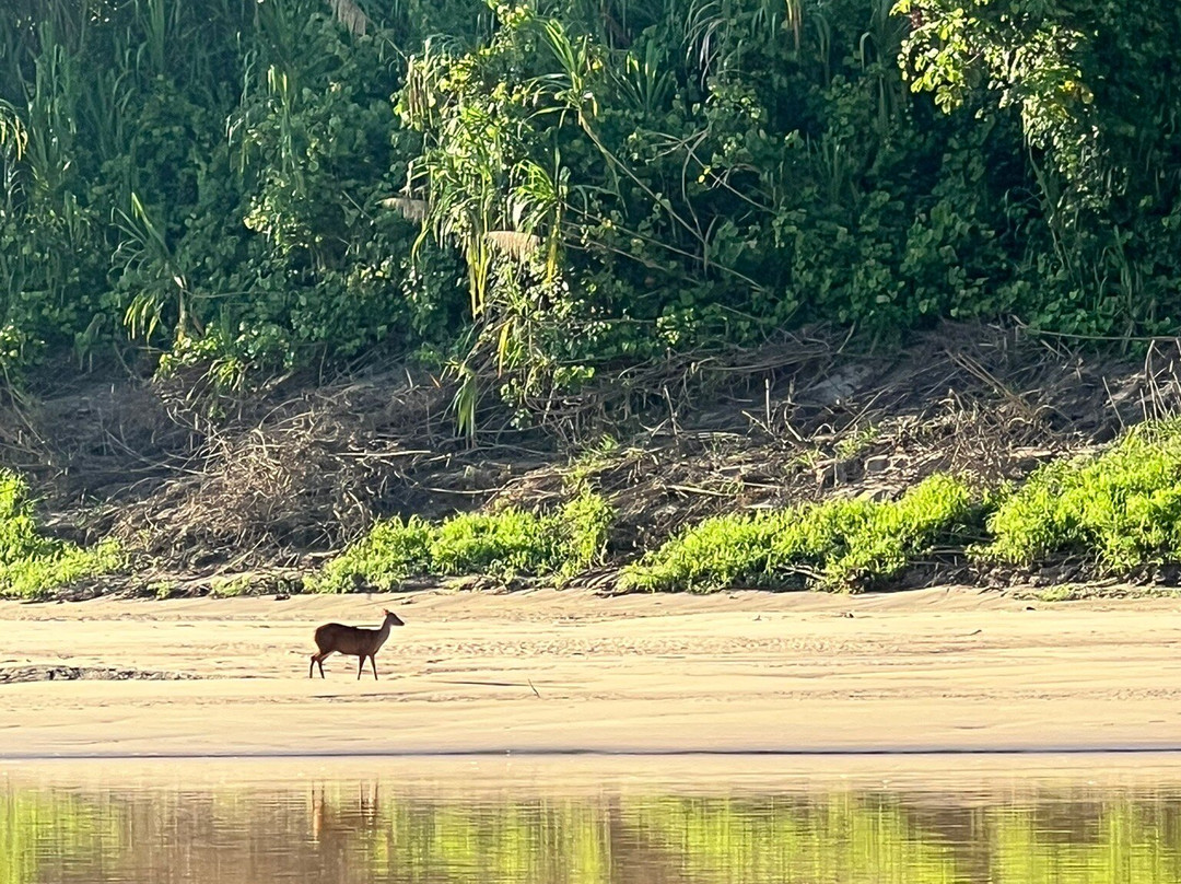 JunglePro-马尔多纳多港必去景点