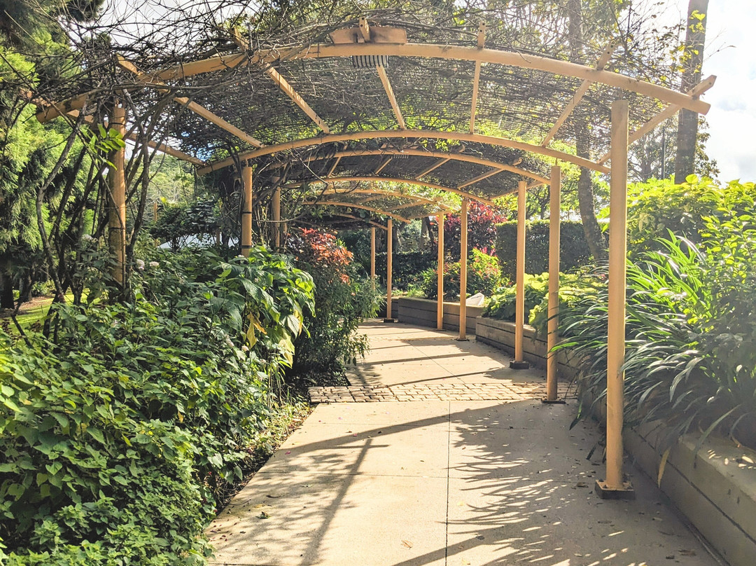 Mackay Regional Botanic Gardens景点图片