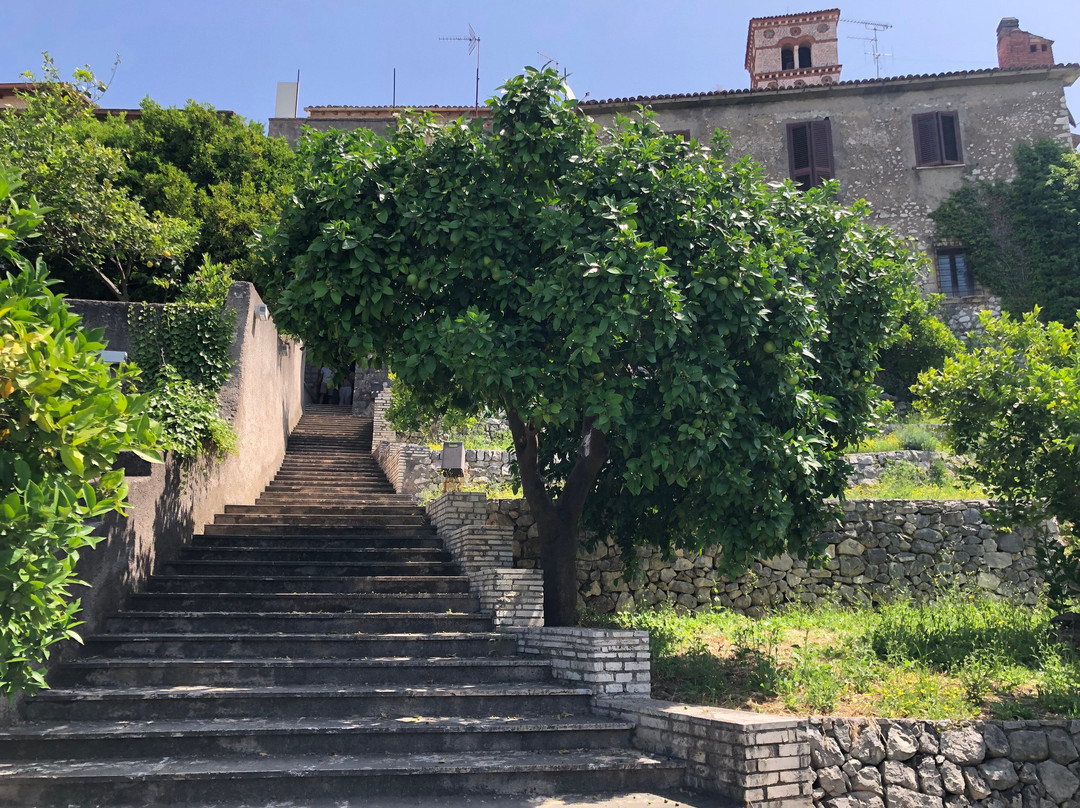 Giardino degli Aranci景点图片