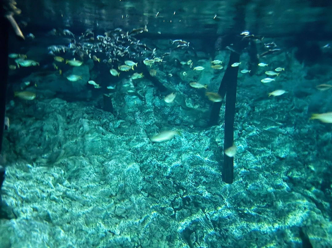 Scubaquatic-艾库玛尔必去景点