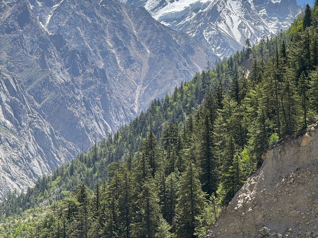 Himalayan Dream Treks景点图片
