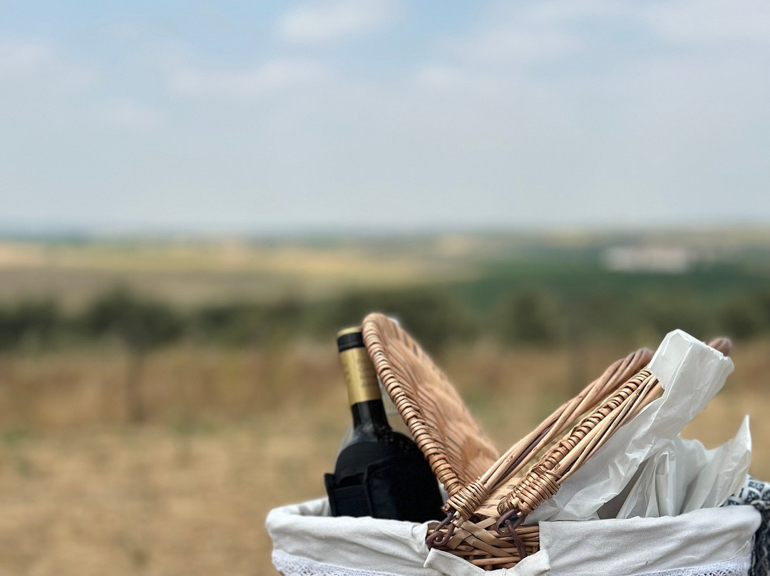 Ervideira-Reguengos de Monsaraz必去景点