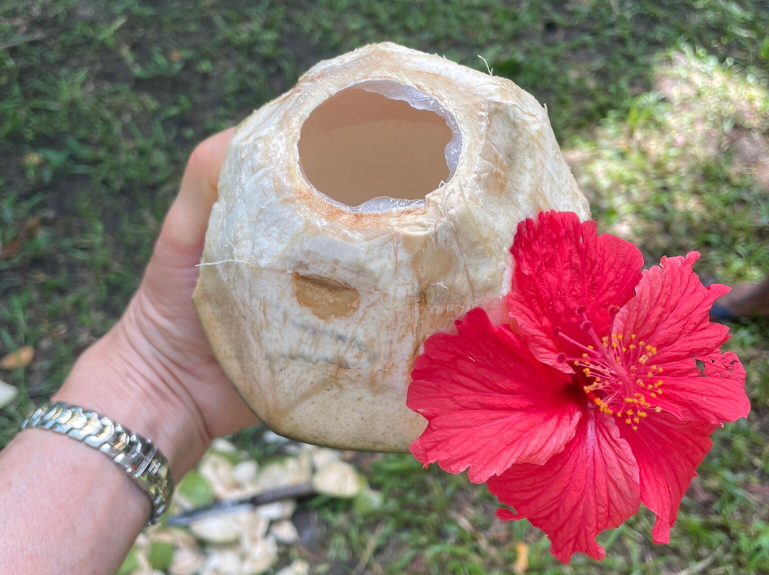 Bwa Mzee Spice Farm-基万嘎必去景点