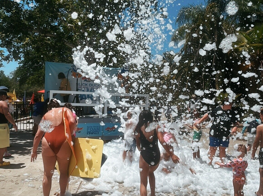 Wild Water Adventure Park-克洛维斯必去景点