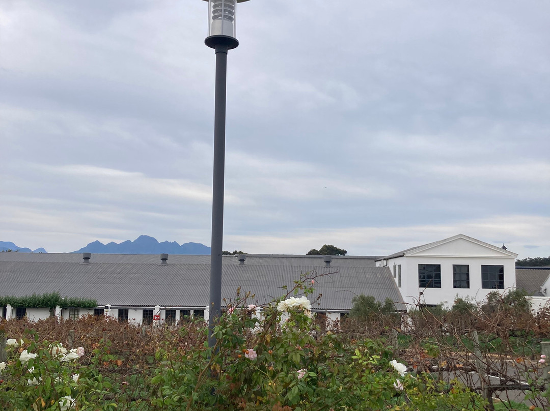 House of J.C. Le Roux-斯泰伦博斯必去景点