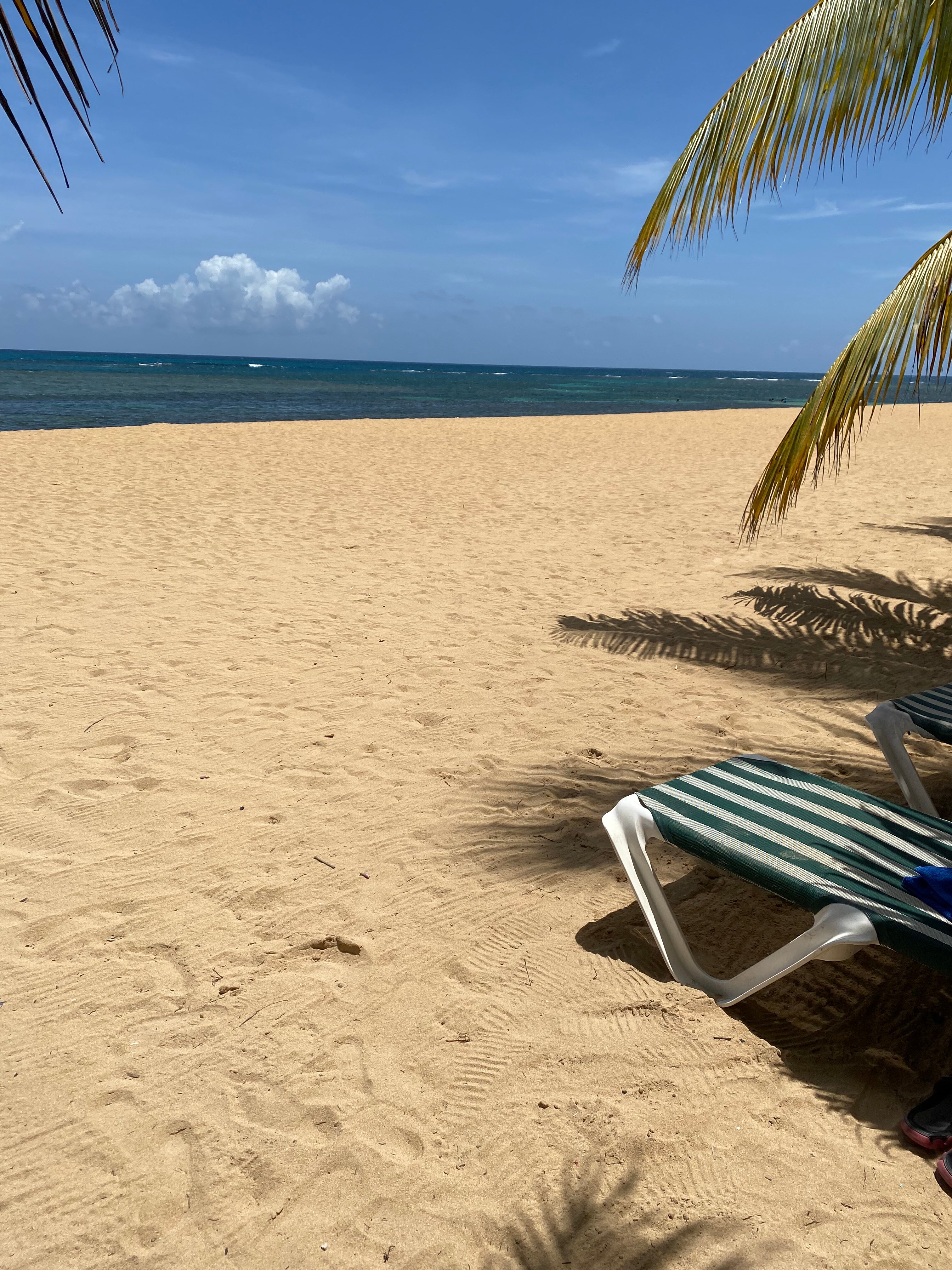 Playa Colibri Apartments-泳池