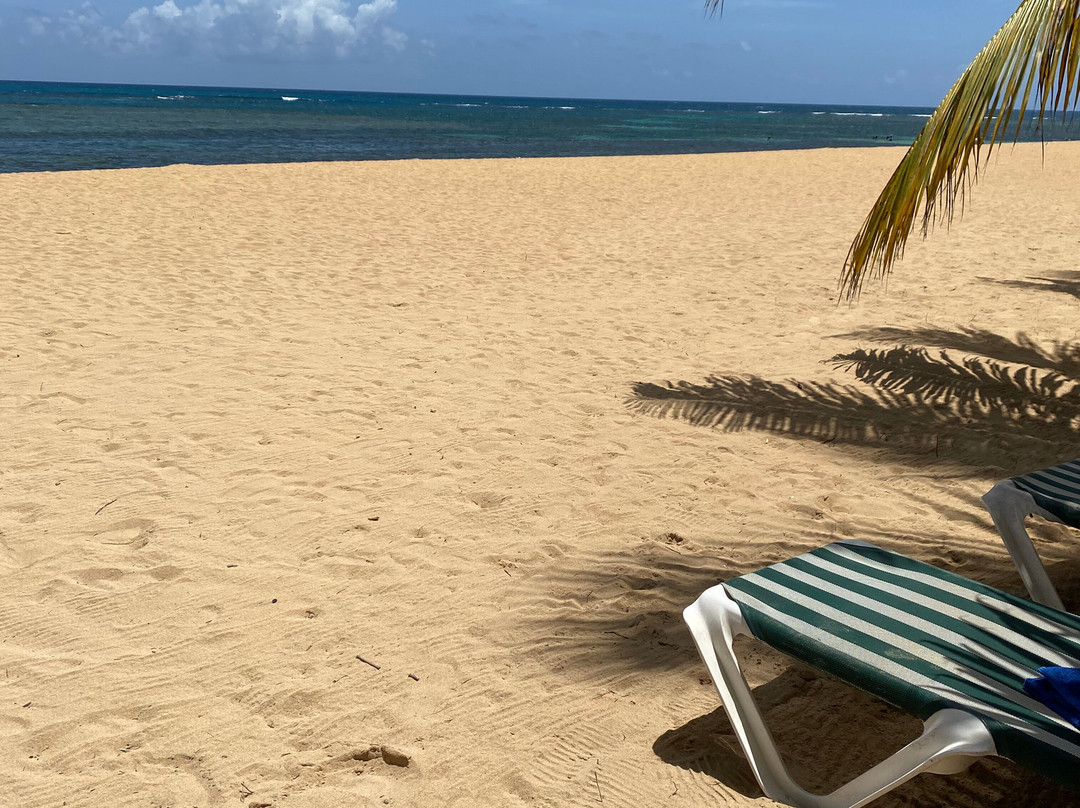 Playa Colibri Apartments主图