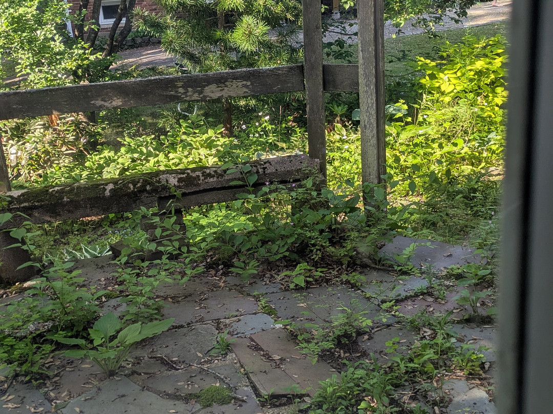 The Water Street Inn主图