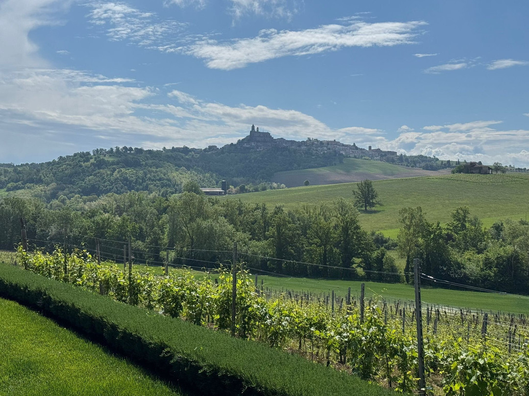 Cantina Hic Et Nunc-Vignale Monferrato必去景点