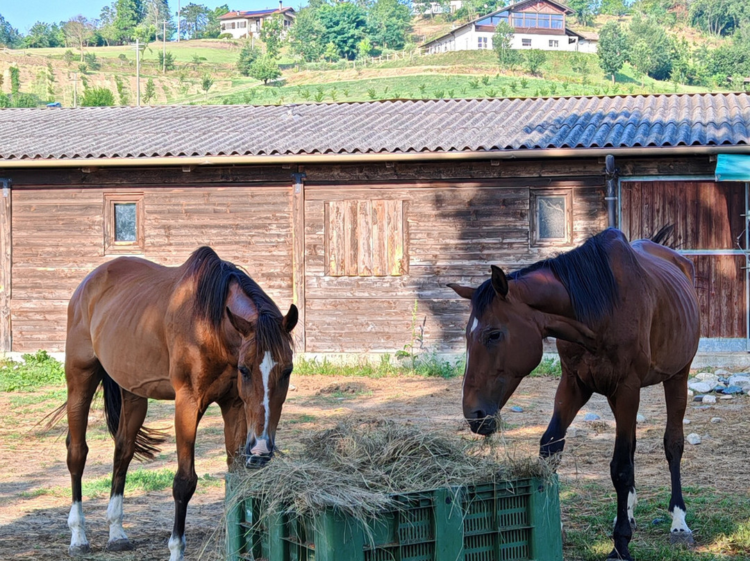 Cascina Fazioli