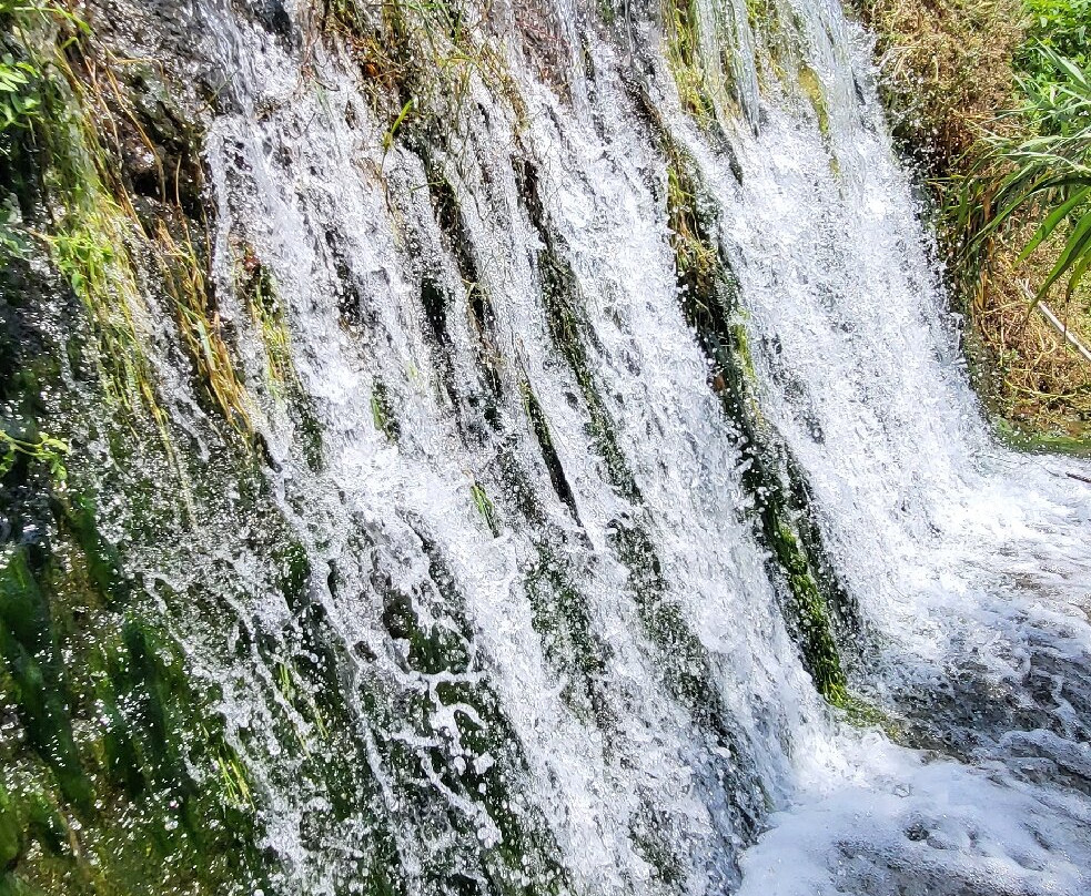 Praia Fluvial Do Sobreirinho-Tomar必去景点