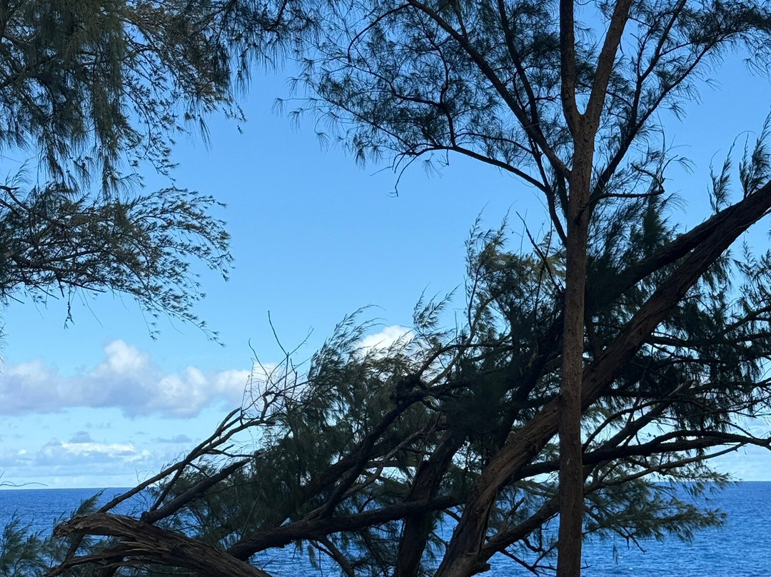 MacKenzie State Park-夏威夷大岛必去景点