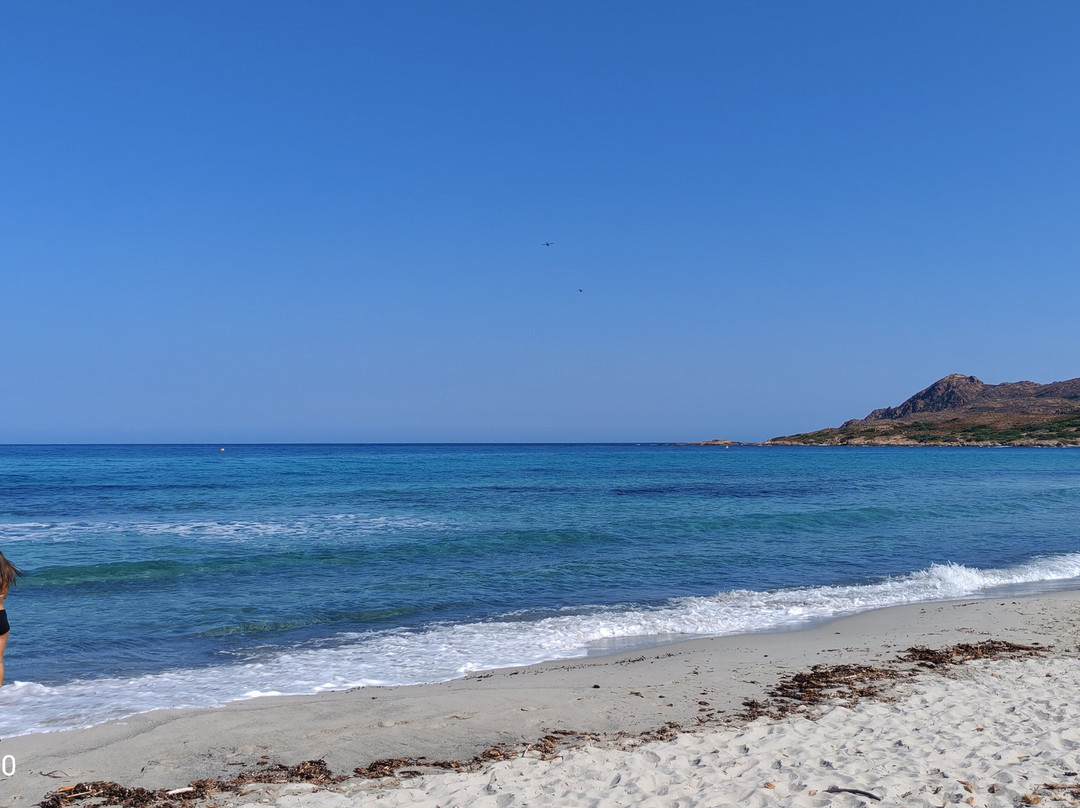 Plage de l'Ostriconi-Palasca必去景点