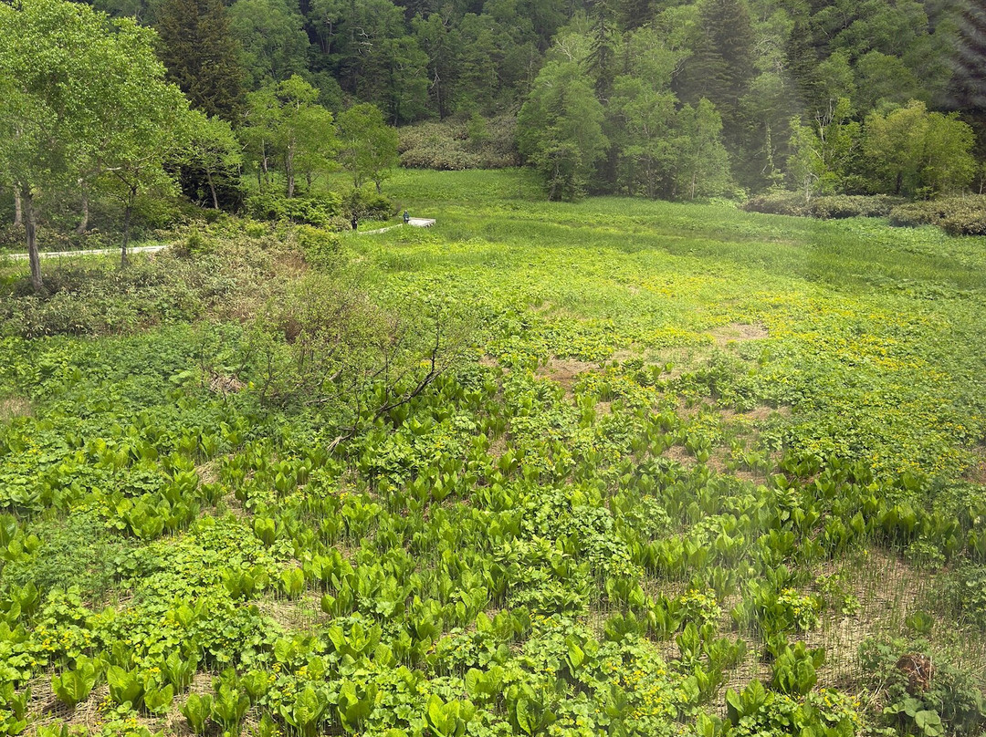 Asahidake Ropeway-东川町必去景点