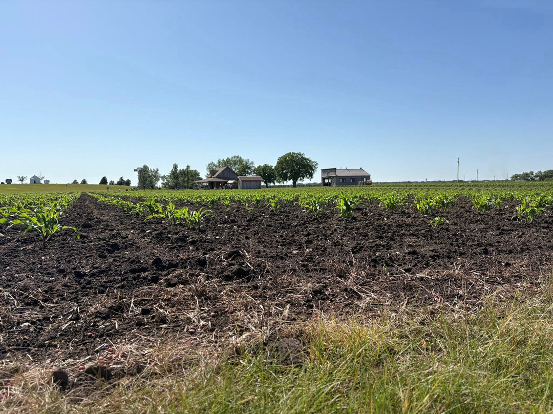 Ingalls Homestead - Laura's Living Prairie-De Smet必去景点