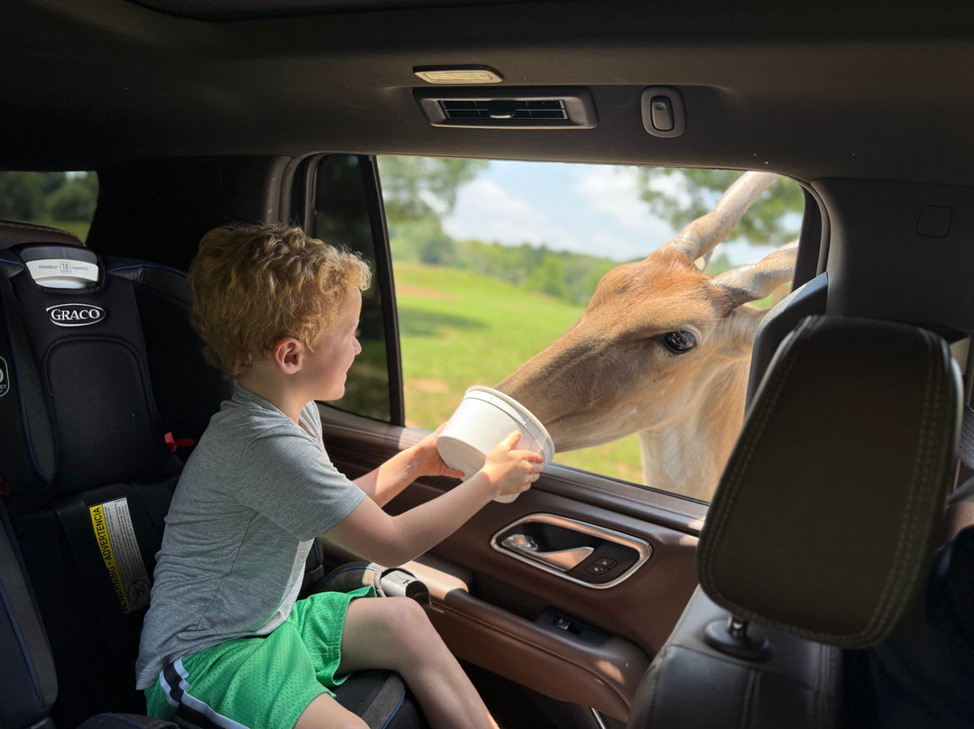 Nova Wild-维也纳必去景点