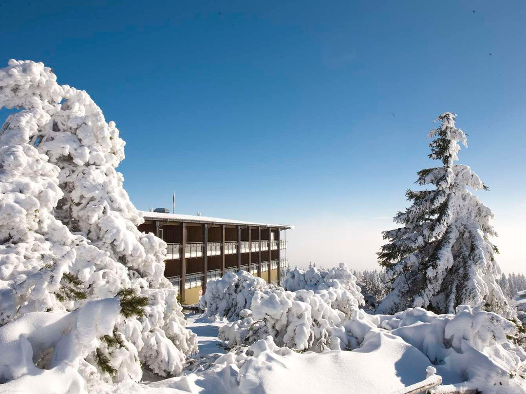 Nationalpark-Hotel Schliffkopf