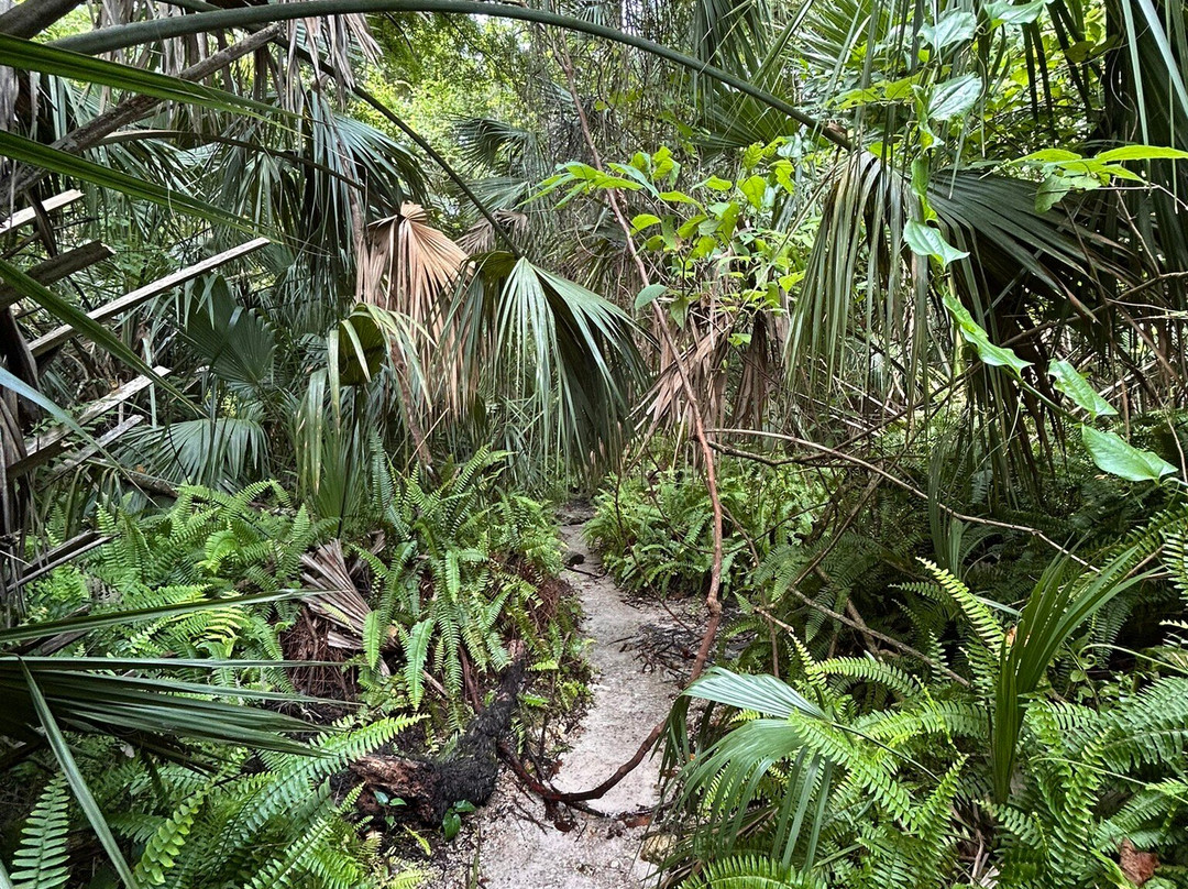 Kelly Park-Apopka必去景点