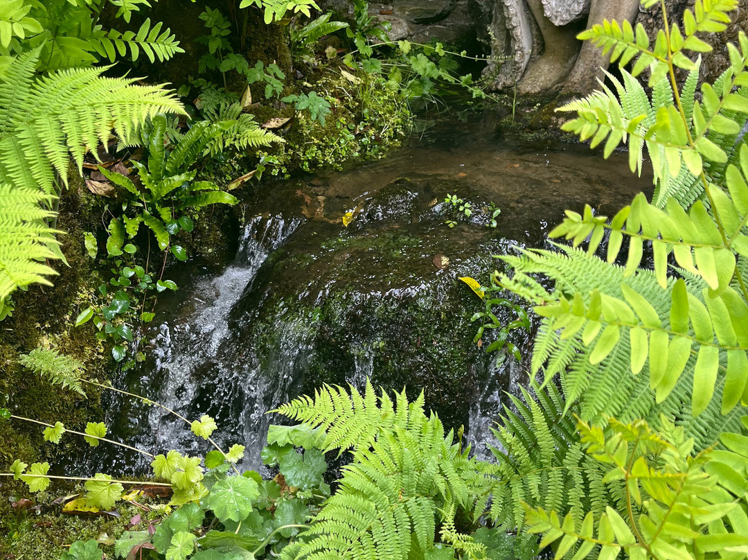 Woolbeding Gardens-Woolbeding必去景点