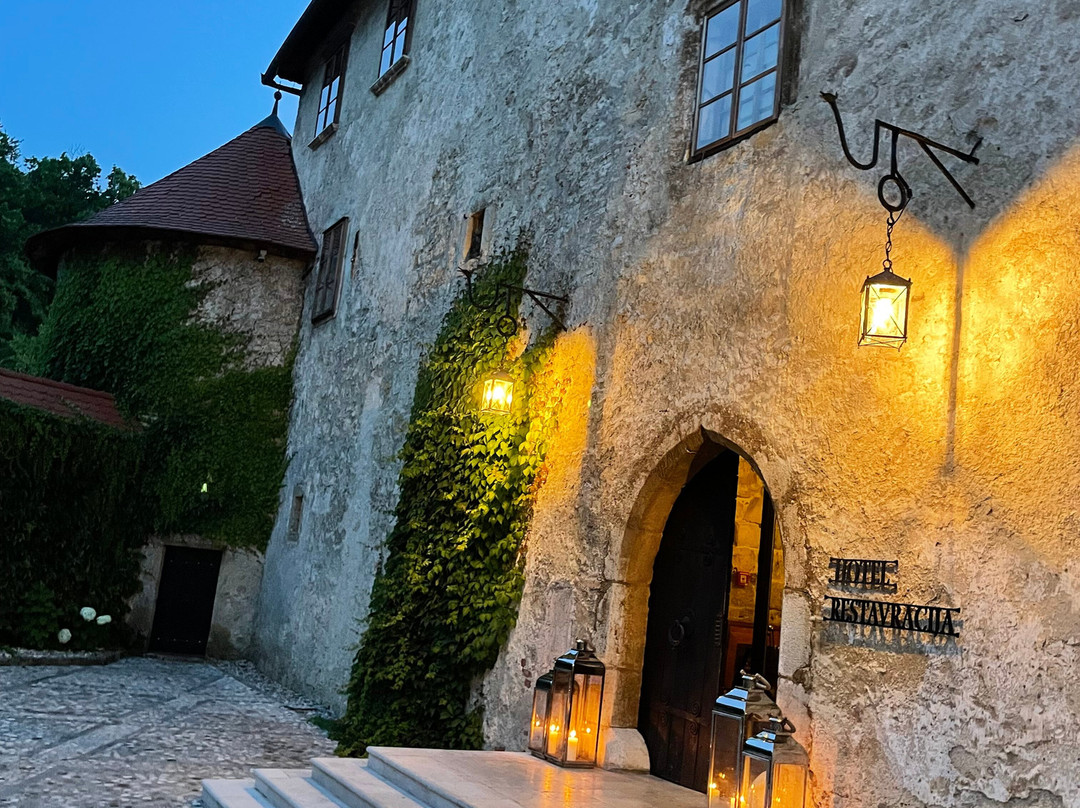 Hotel Grad Otocec Relais & Châteaux主图