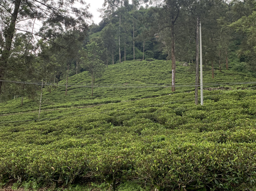 Sura Tours & Travels-卡图纳耶克必去景点