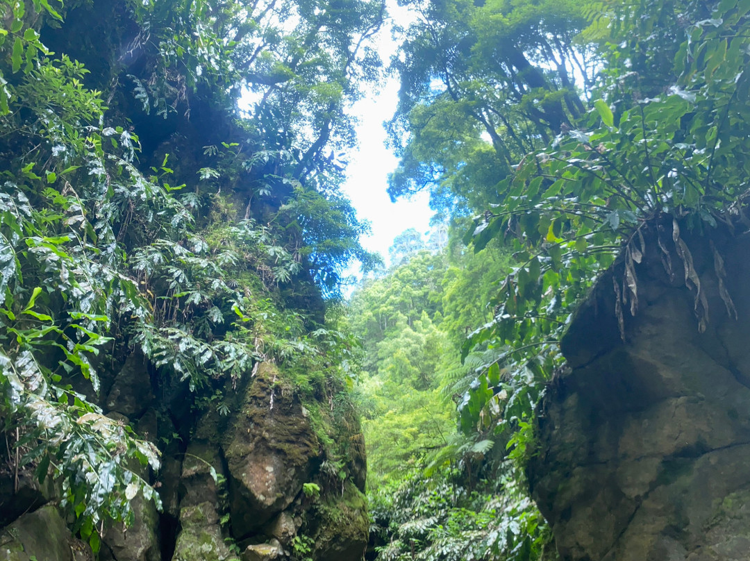 Azores Adventure Islands-Sete Cidades必去景点