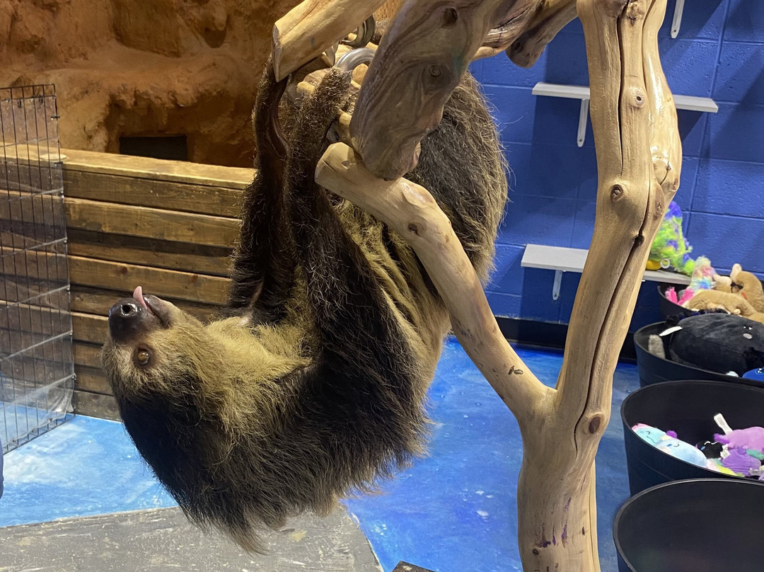 East Idaho Aquarium-爱达荷福尔斯必去景点