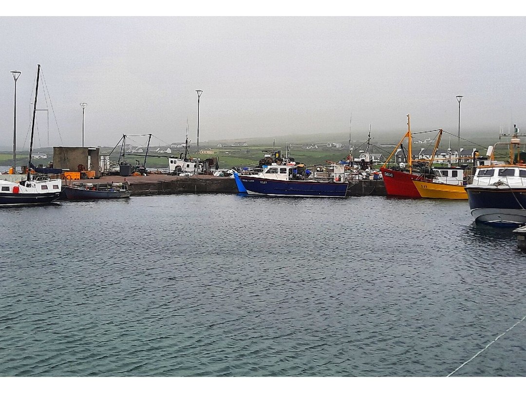Skellig Ring Scenic Drive-Portmagee必去景点