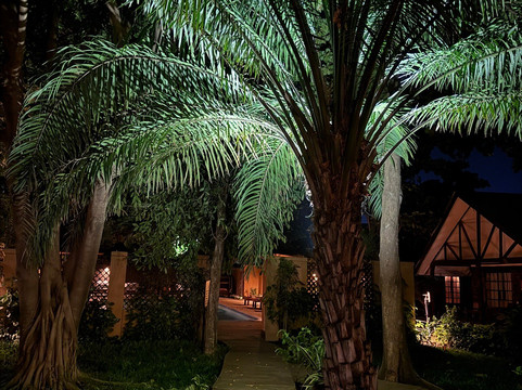 Acacia Village主图