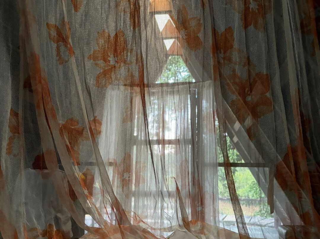 Indigena Tours-Rurrenabaque必去景点