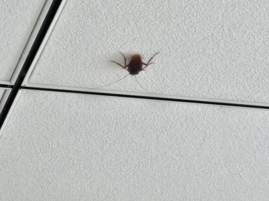 最佳西方苏布尔马尔蒂姆酒店主图