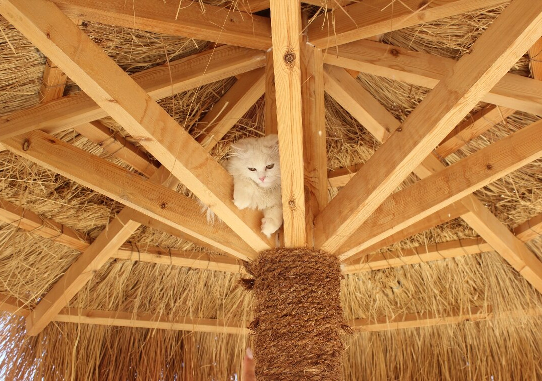 Sharm El Luli-马萨阿拉姆必去景点