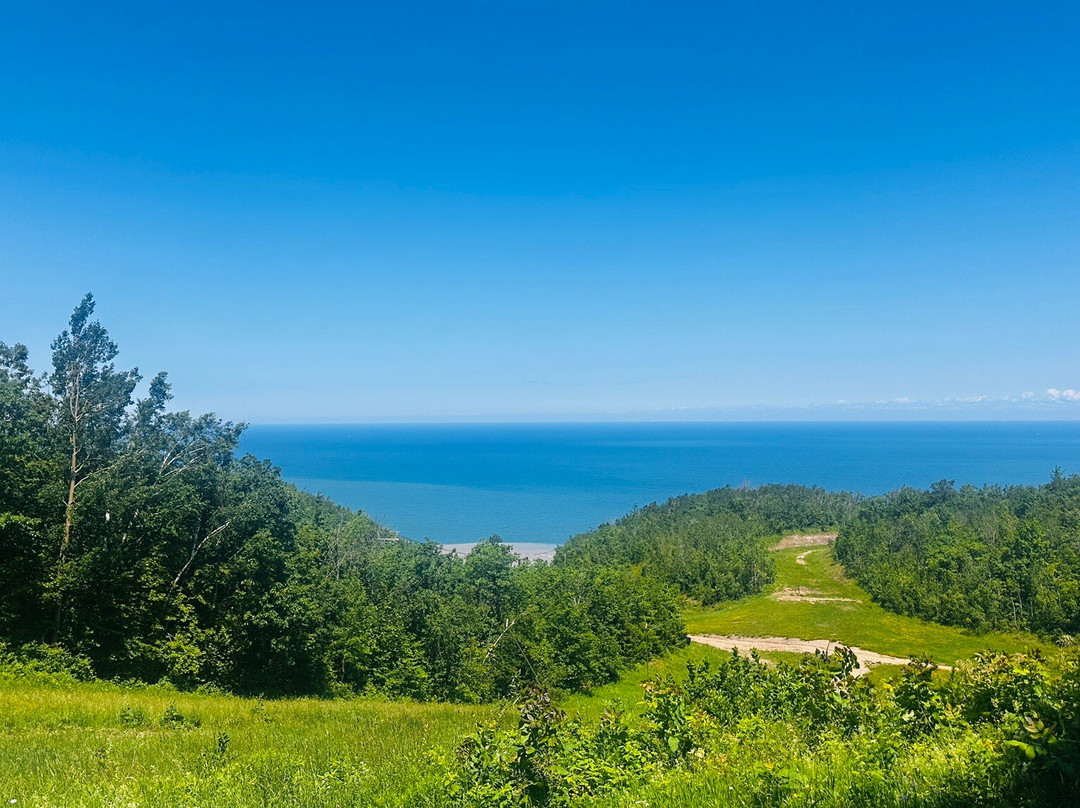 Loree Forest Loop-蓝山必去景点