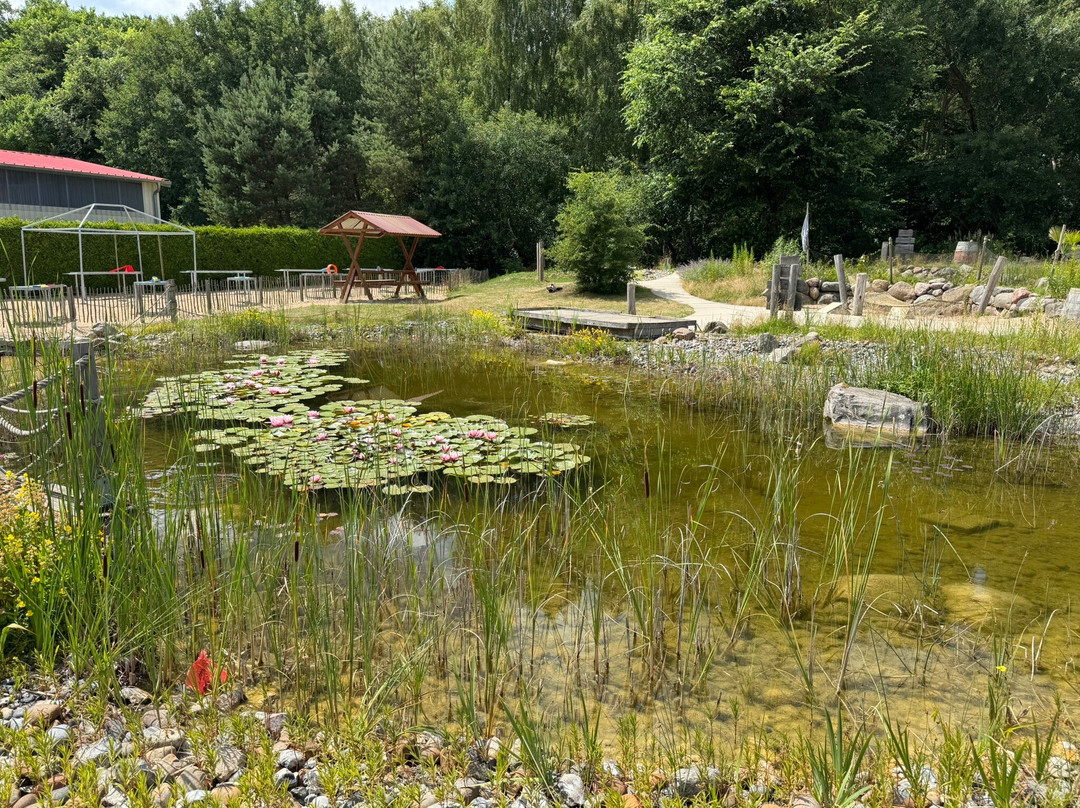 Piraten der Ostsee Abenteuer-Minigolf-Trassenheide必去景点