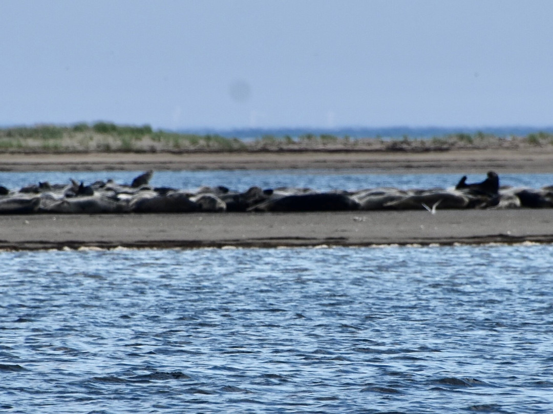 Phoca Tours-Saint-Louis-de-Kent必去景点