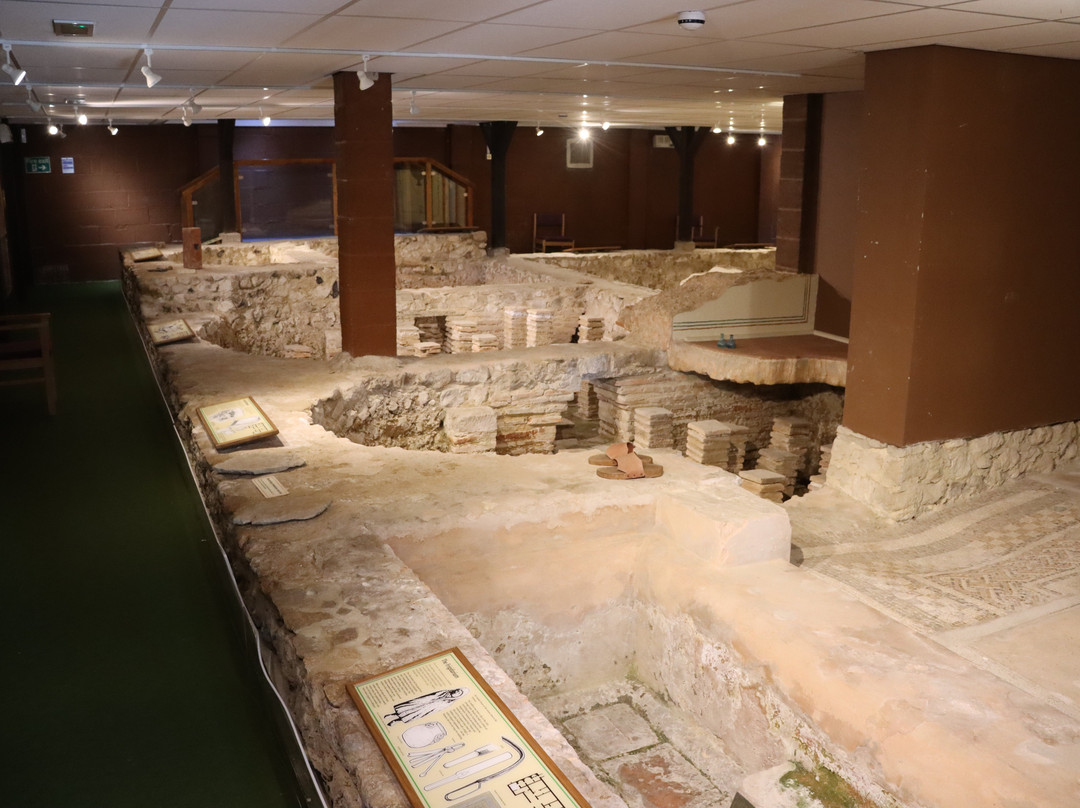 Newport Roman Villa-纽波特必去景点
