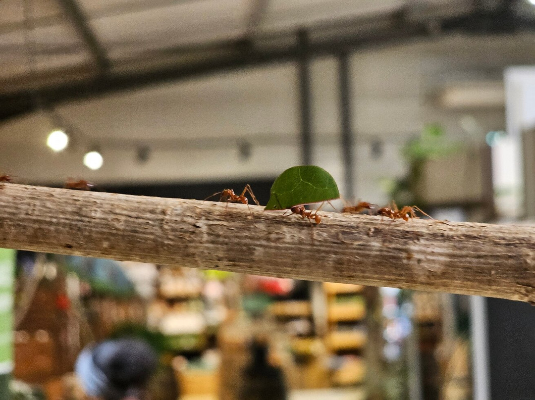 Exotic Park-Lescar必去景点