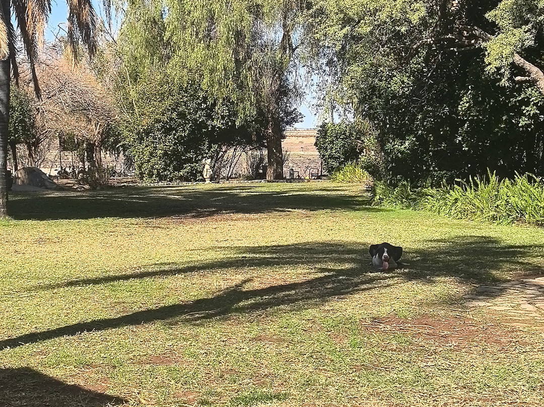 Bezalel Wine & Brandy Estate-阿平顿必去景点