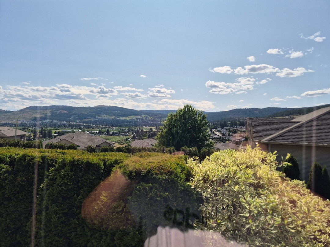 Adela's Bed and Breakfast主图