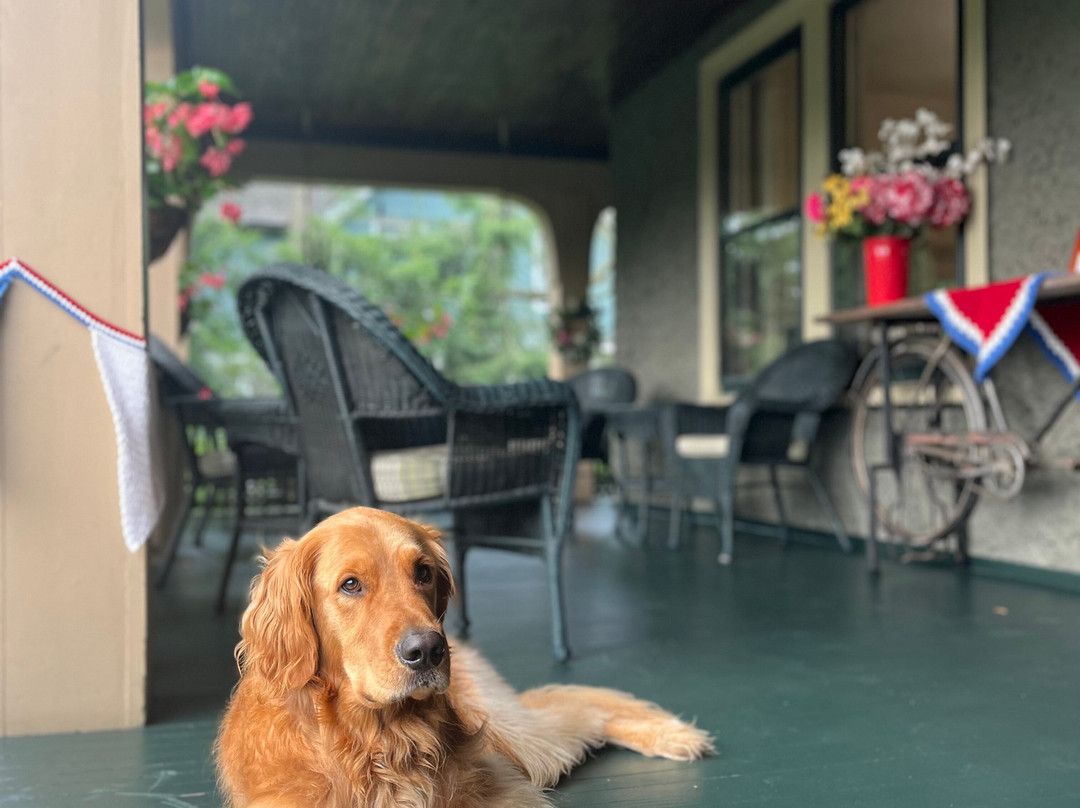 1900 Inn on Montford主图