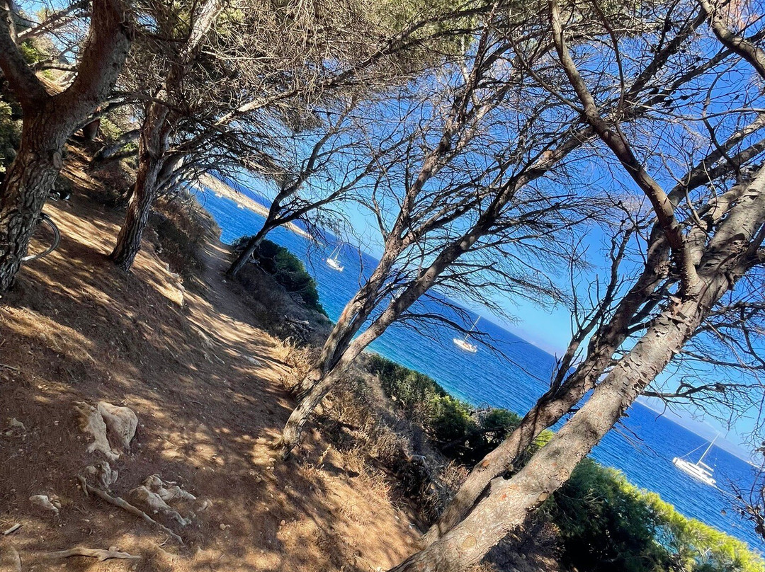 Spiaggia di Cala Minnola-Levanzo必去景点