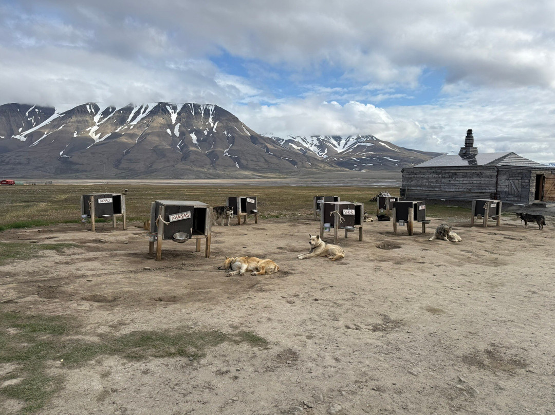 Camp Barentz-朗伊尔城必去景点