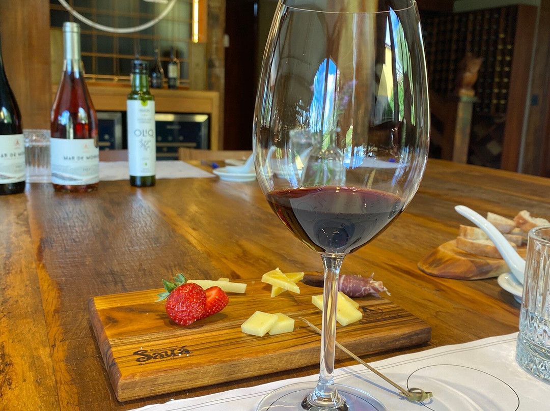 Vinícola Artesã-Goncalves必去景点