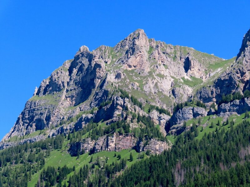 Monte Verdal